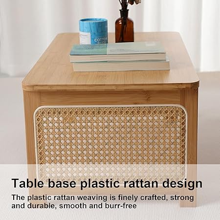 Japanese Style Rattan Coffee Table