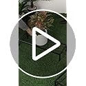 Plant Stand for Indoor & Outdoor - Metal Plant Stand for Balcony