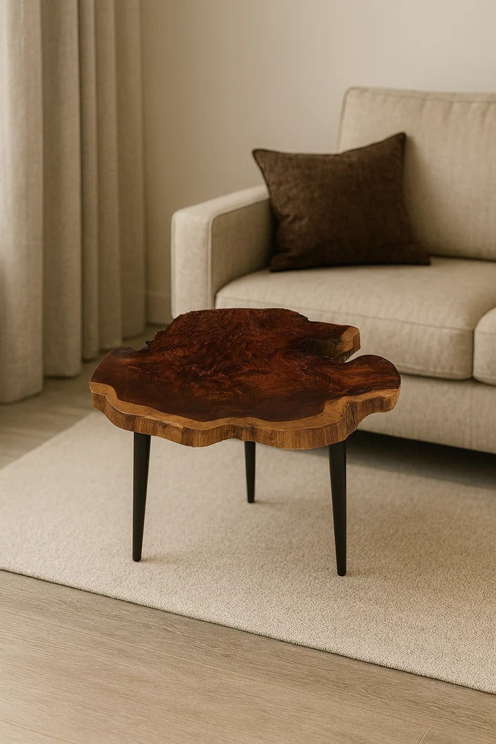 The Atheria Coffee Table