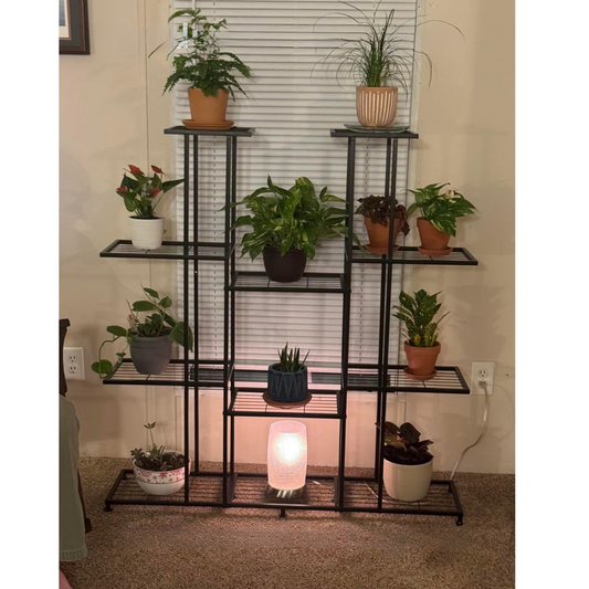 Multi Tier Metal Plant Stand | Indoor Plant Stand
