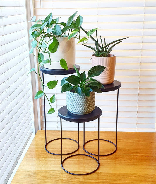 Plant Stand, Pot Plant Stand, Metal Plant Stand