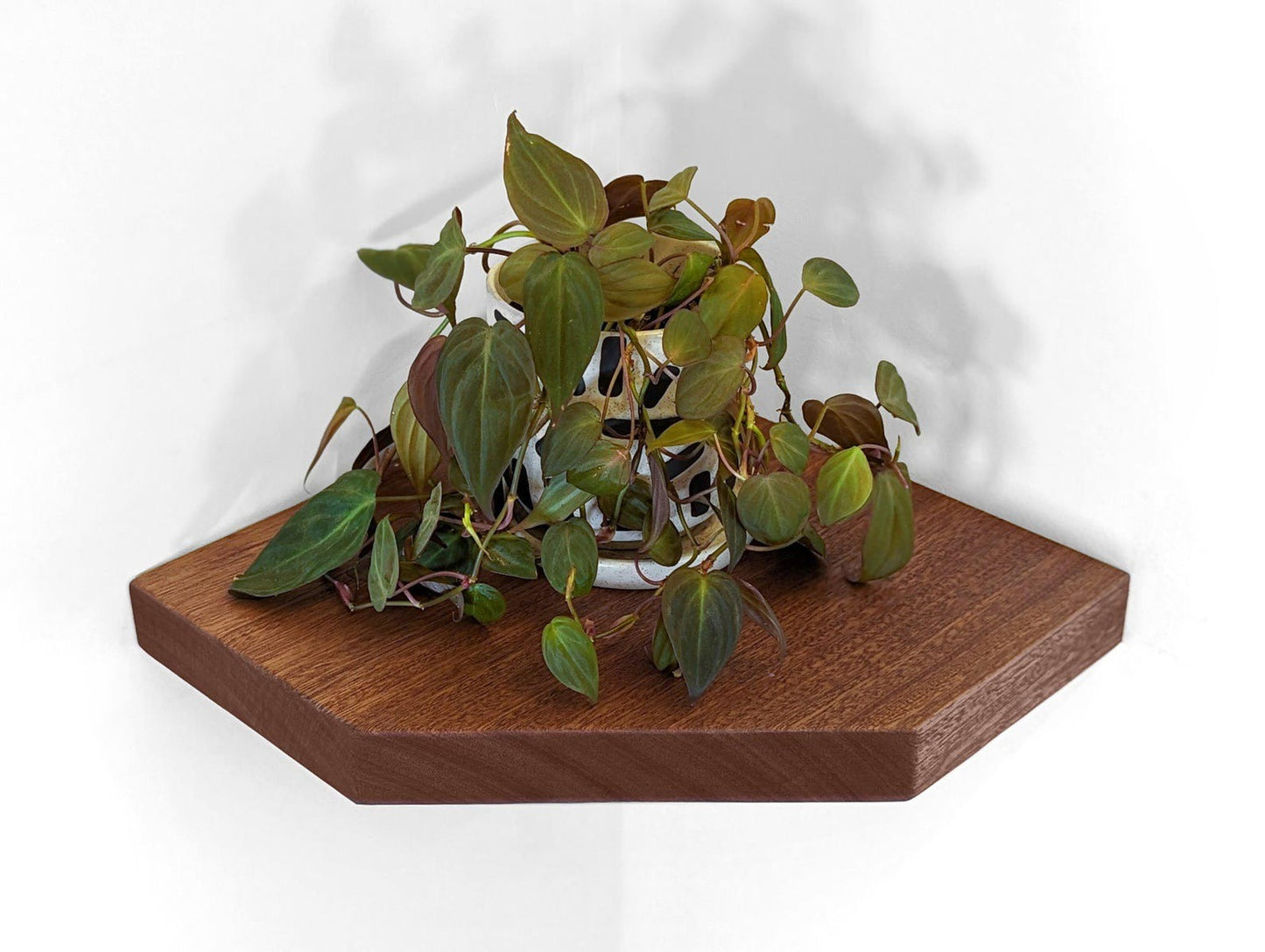 Floating Corner Shelves with Straight Edges
