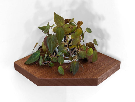 Floating Corner Shelves with Straight Edges