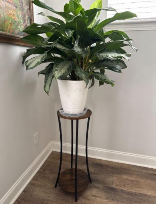 2 Tier Metal Wood Plant Stand, Indoor Plant Stand