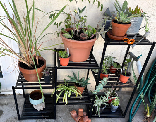 7 Tier Metal Plant Stand, Potted Plant Stand