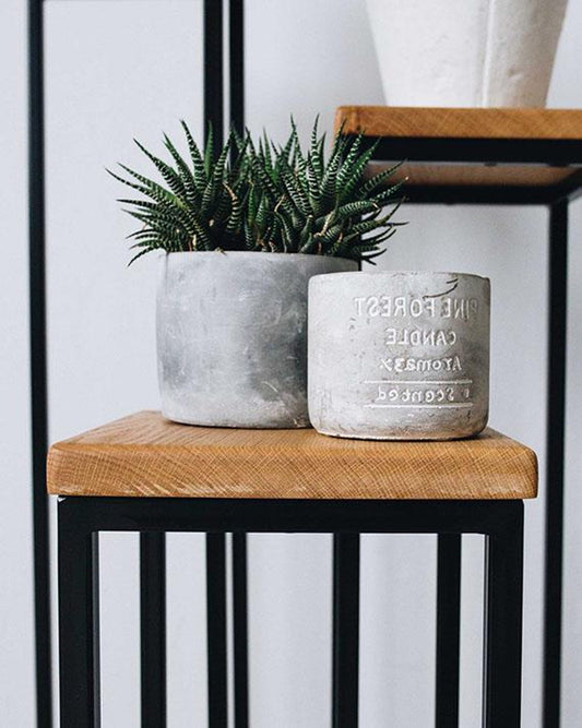 Modern Metal and Wood Plant Stand