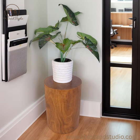 Wooden Tree Stump End Table, Rustic Wood Side Table, Wood Stump for Plant Stand Decor Nightstands Stool Indoor Outdoor
