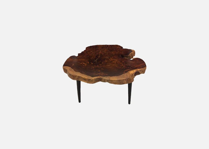 The Atheria Coffee Table