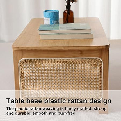 Japanese Style Rattan Coffee Table