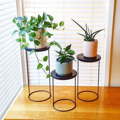 Plant Stand, Pot Plant Stand, Metal Plant Stand
