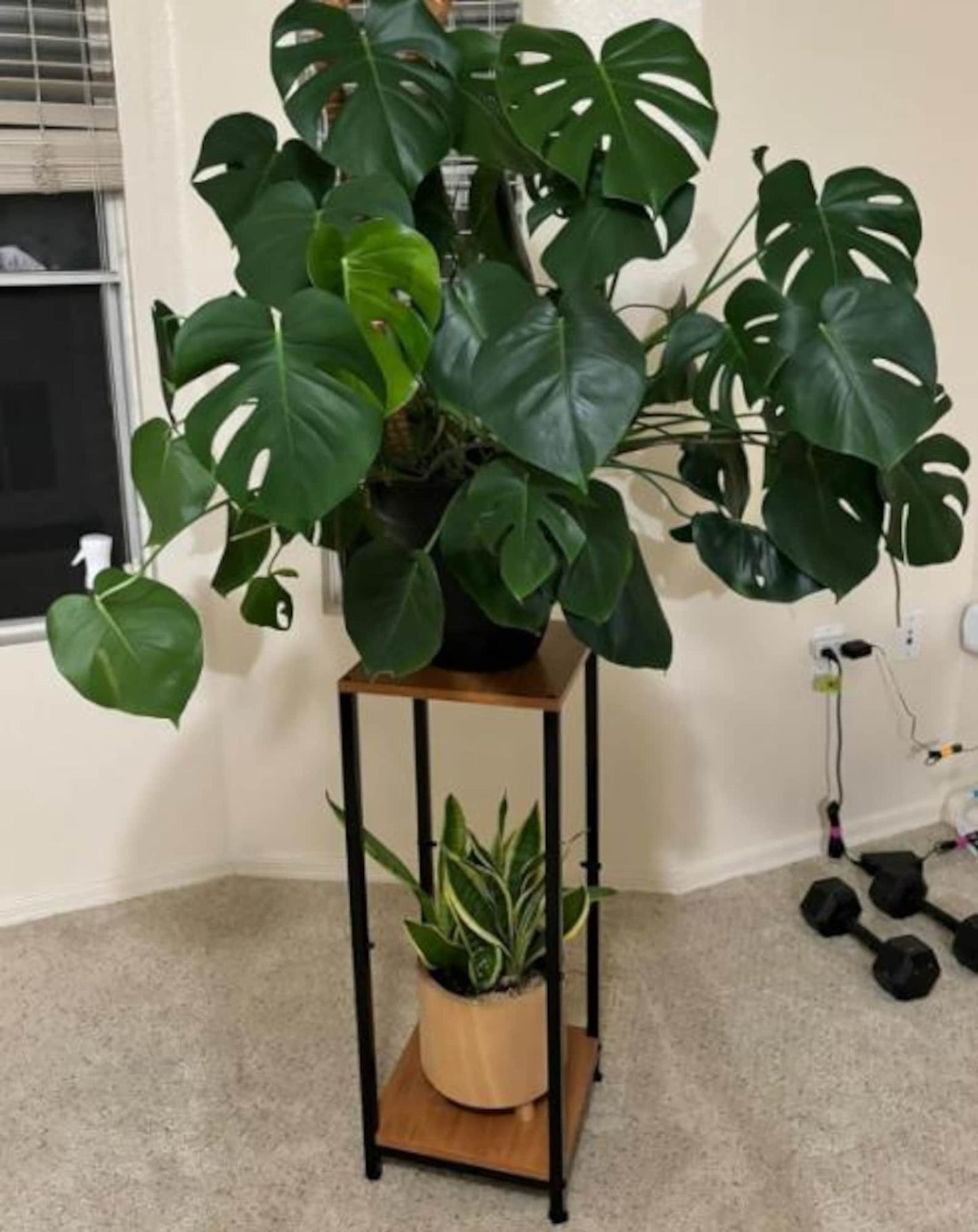 2 Tier Metal Wood Plant Stand, Indoor Plant Stand