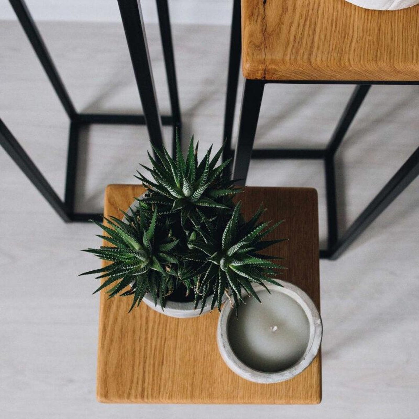 Modern Metal and Wood Plant Stand