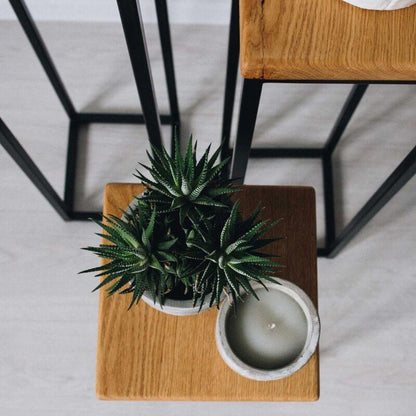 Modern Metal and Wood Plant Stand