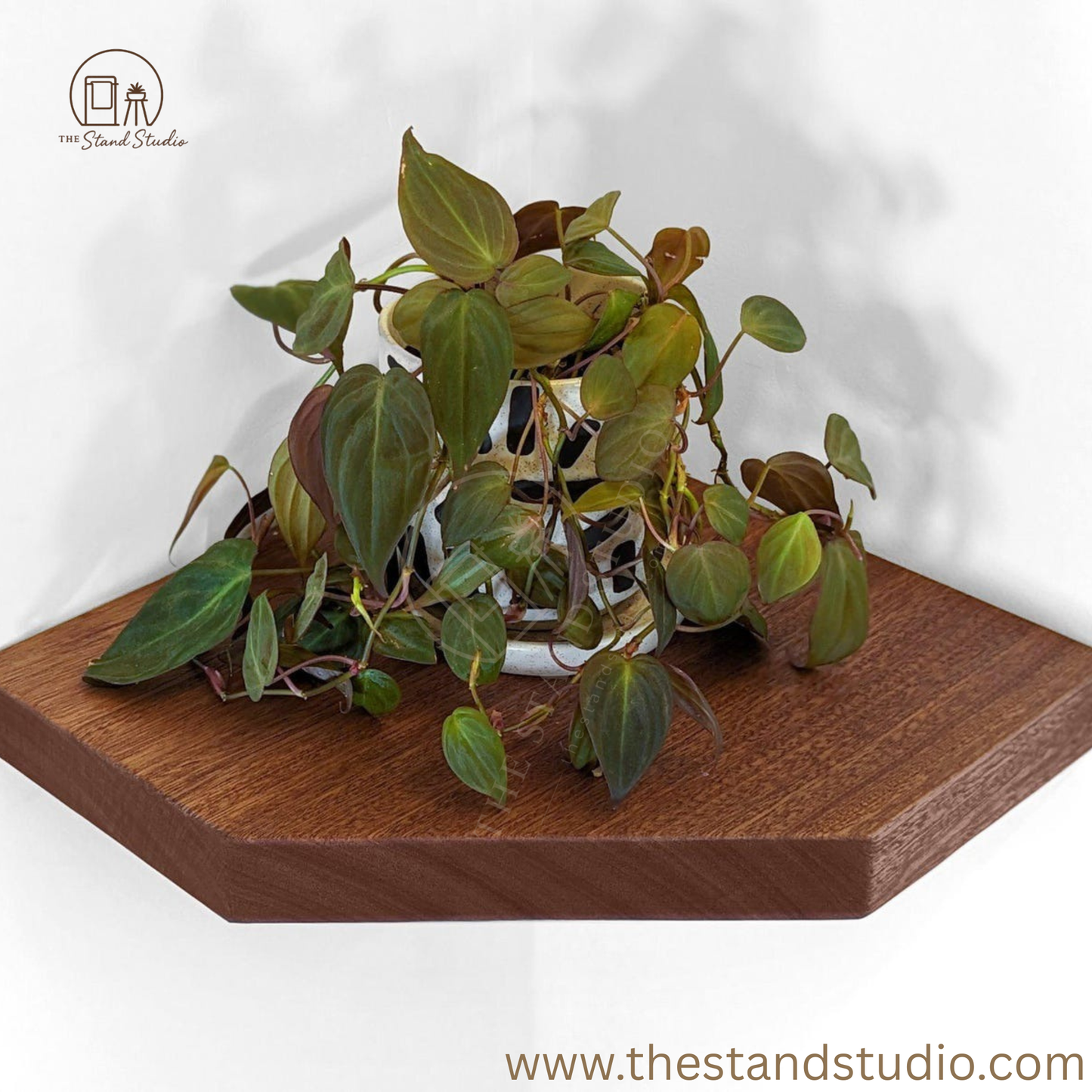 Floating Corner Shelves with Straight Edges