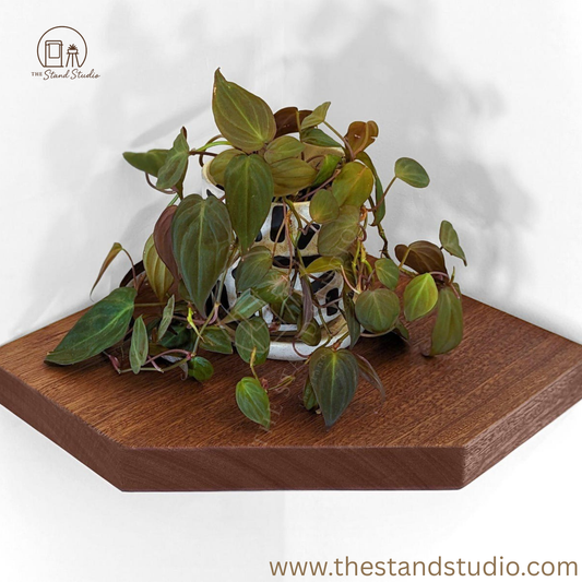 Floating Corner Shelves with Straight Edges