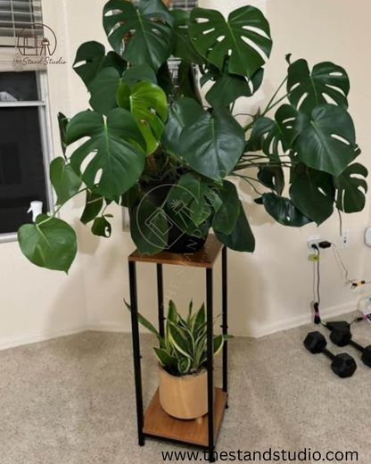 2 Tier Metal Wood Plant Stand, Indoor Plant Stand