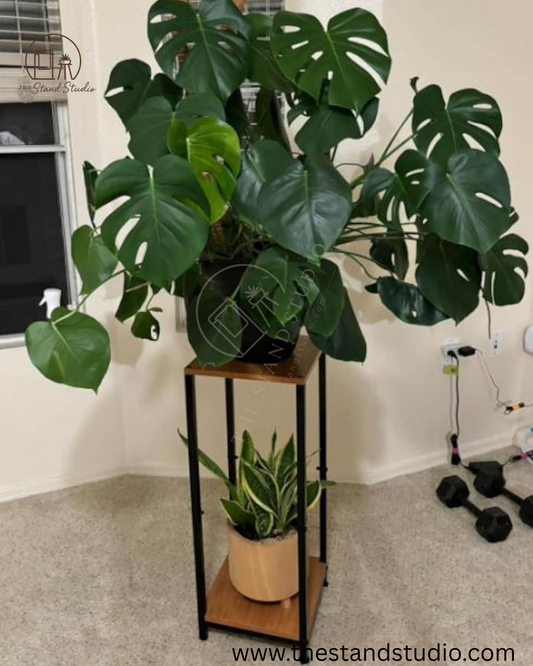 2 Tier Metal Wood Plant Stand, Indoor Plant Stand