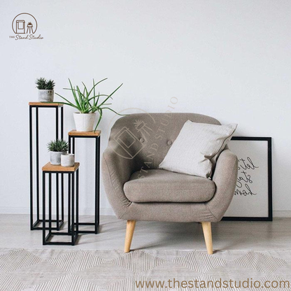Modern Metal and Wood Plant Stand