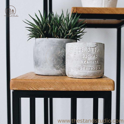 Modern Metal and Wood Plant Stand