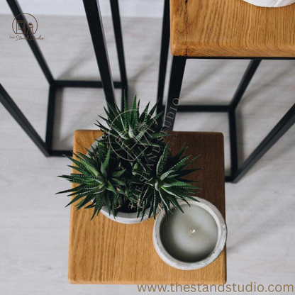 Modern Metal and Wood Plant Stand