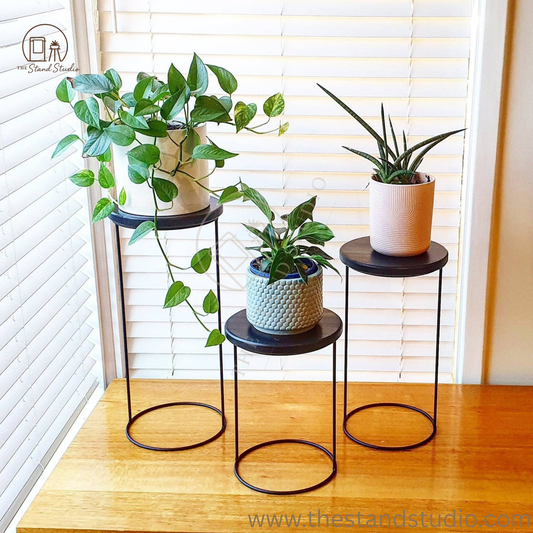 Plant Stand, Pot Plant Stand, Metal Plant Stand