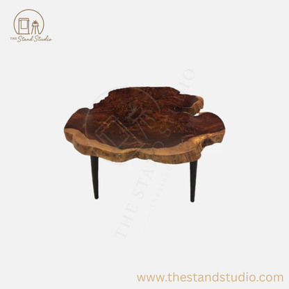 The Atheria Coffee Table